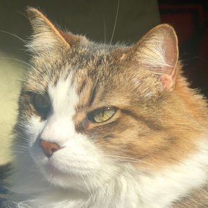 Meet your Posher, Channing